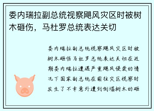 委内瑞拉副总统视察飓风灾区时被树木砸伤，马杜罗总统表达关切