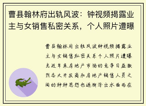 曹县翰林府出轨风波：钟视频揭露业主与女销售私密关系，个人照片遭曝光