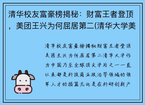 清华校友富豪榜揭秘：财富王者登顶，美团王兴为何屈居第二(清华大学美团)