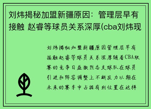 刘炜揭秘加盟新疆原因：管理层早有接触 赵睿等球员关系深厚(cba刘炜现在在哪个队)
