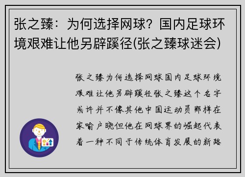 张之臻：为何选择网球？国内足球环境艰难让他另辟蹊径(张之臻球迷会)