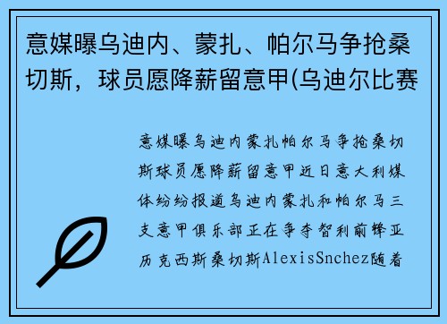 意媒曝乌迪内、蒙扎、帕尔马争抢桑切斯，球员愿降薪留意甲(乌迪尔比赛视频)