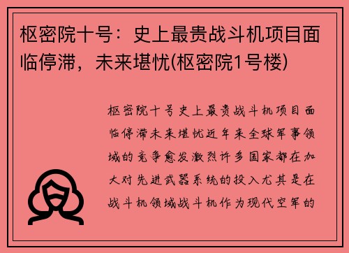 枢密院十号：史上最贵战斗机项目面临停滞，未来堪忧(枢密院1号楼)